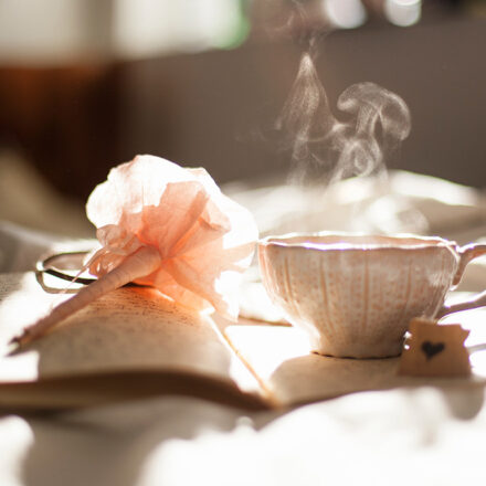 5 Things You Can Do Today to Help