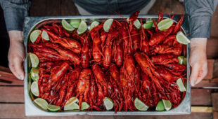 Traditional Swedish Crayfish Party